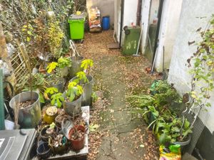 Rear Yard- click for photo gallery